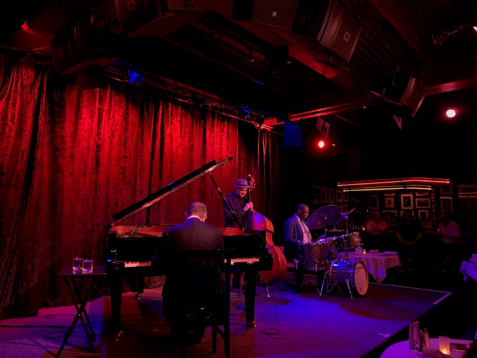 Original image before processing with Turing pattern algorithm