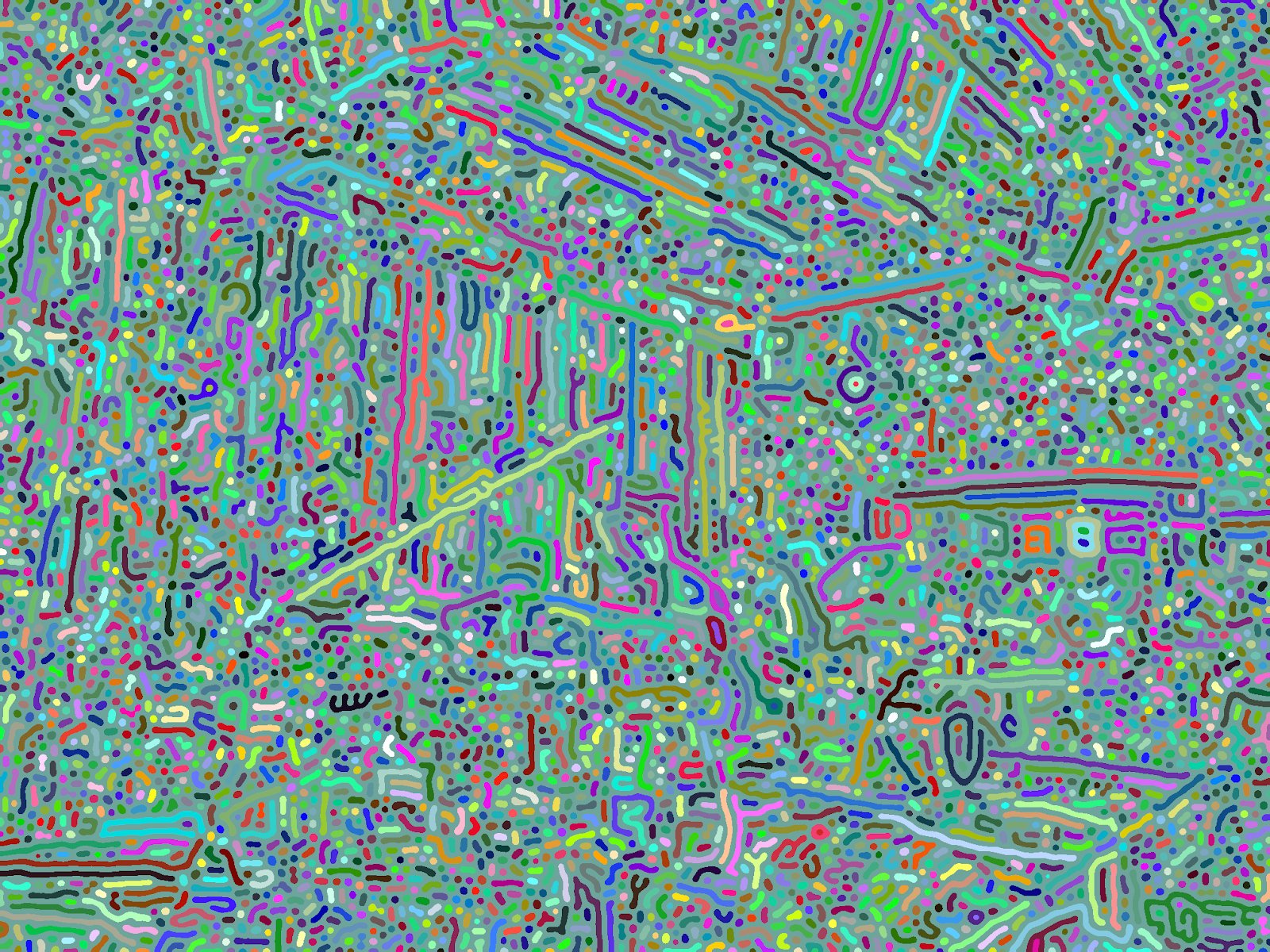 Image after coloring each region of the blurred and sharpened image with a random color