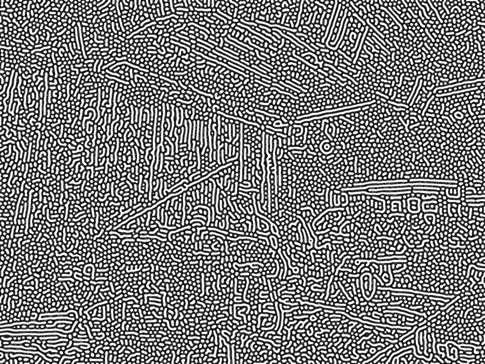 Image after blurring and sharpening the original image